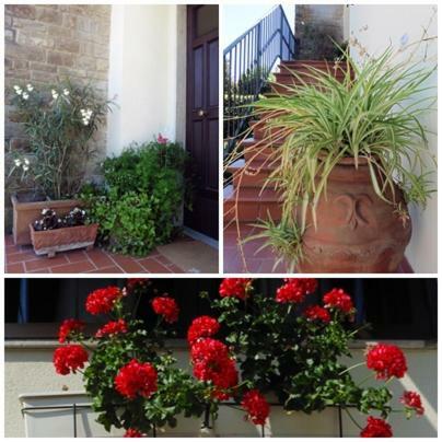 Appartamento Il Veggio Poggio a Caiano Exterior foto